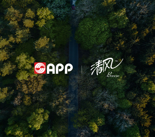 清风纸业-金光集团-集团91视频电影网
