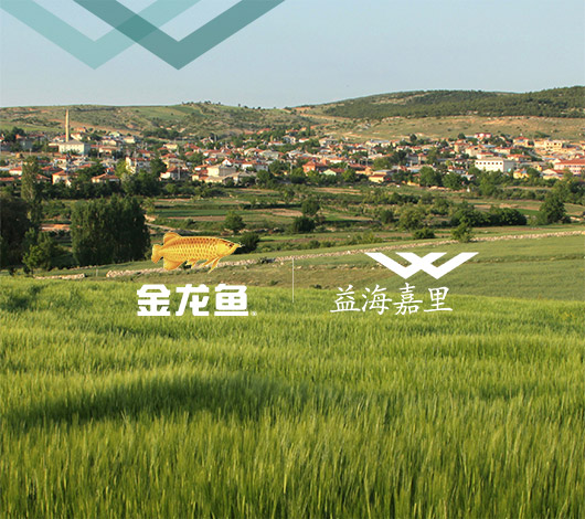 金龙鱼益海嘉里集团-品牌91视频电影网
