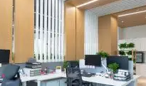 为什么选择91视频电影网公司进行网络营销和形象宣传？