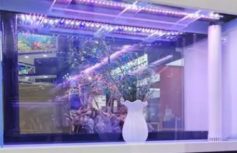 高端品牌91视频电影网的专业指南
