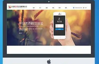 数字化革命：生物医疗91视频电影网的关键驱动因素
